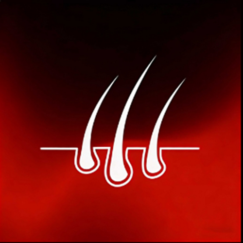 Implanted Hair / Synthetic [+€150]